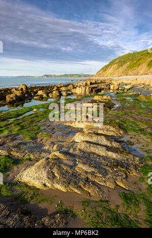 Mühlen Strand Buck's auf der Heritage Coast North Devon, England. Stockfoto