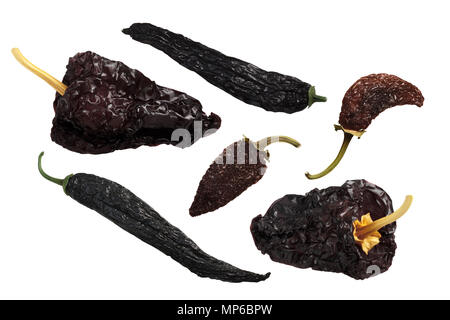 Getrocknete Paprika: Mexikanische chile Pasilla, Ancho Mulato, Chipotle Morita, ganze Schoten Stockfoto