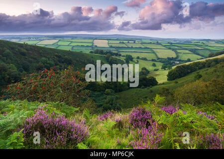 Der Punchbowl bei Winsford Hill in Exmoor National Park in Somerset, England. Stockfoto