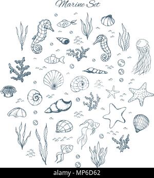 Hand gezeichnet Vektor Marine mit Seepferdchen, Muscheln, Sterne, Algen, Fische, Korallen und Blasen. Meeresbewohner Umrisse auf den weißen Hintergrund in Skizze Stock Vektor