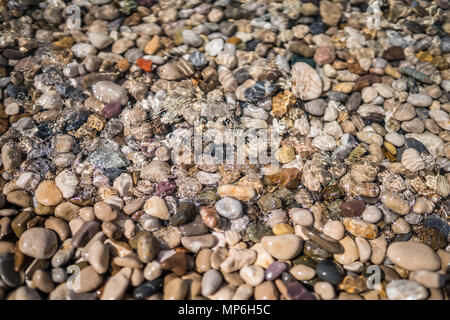 Bunte Steine im Meer Wasser am Strand im Sommer Stockfoto