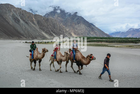 Ladakh, Indien - May 18, 2015. Touristen reiten Kamele in Ladakh, Indien. Ladakh ist die höchste Plateau im Bundesstaat Jammu und Kaschmir mit viel von ihm, Stockfoto
