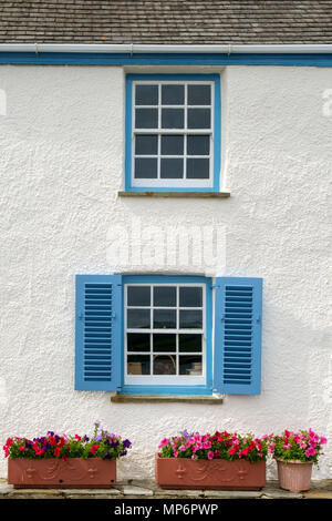 Bunte Sommerblumen und blauen Fensterläden auf ein Haus am Meer in St. Mawes, Cornwall, Großbritannien Stockfoto