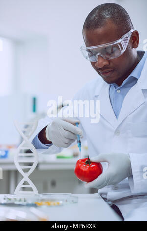 Alert ausgebildete Biologin Tomate ändern Stockfoto