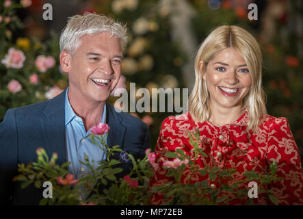 Royal Hospital Chelsea, London, Großbritannien. 21. Mai, 2018. Drücken Sie Tag für die Rhs Chelsea Flower Show 2018. Foto: Phillip Schofield und Holly Willoughby, ITV heute Morgen Moderatoren, stellt eine besondere Rose mit dem Namen 'Am Morgen "30 Jahre des Programms auf TV zu feiern, von kordes Rosen ins Leben gerufen. Credit: Malcolm Park/Alamy Leben Nachrichten. Stockfoto