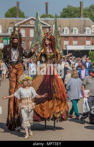 London, Großbritannien. 21. Mai 2018. Drücken Sie Tag an der RHS Chelsea Flower Show im Royal Hospital, Chelsea. Credit: Guy Bell/Alamy leben Nachrichten Stockfoto