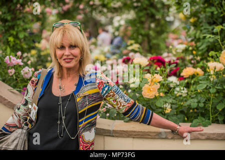 London, Großbritannien. 21. Mai 2018. Joanna Lumley - Drücken Sie Tag an der RHS Chelsea Flower Show im Royal Hospital, Chelsea. Credit: Guy Bell/Alamy leben Nachrichten Stockfoto