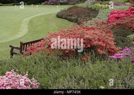 Wentworth Club, Surrey, Großbritannien. 21 Mai, 2018 Die berühmten Wentworth Club in voller Blüte bereitet sich auf den Start des diesjährigen BMW/PGA MEISTERSCHAFT Credit: Motofoto/Alamy leben Nachrichten Stockfoto