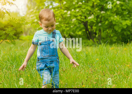 Kleiner Junge Wandern auf dem Rasen im Park, sammelt Löwenzahn, Blumen, laufen, Spaß haben, in einer blauen Overall Stockfoto