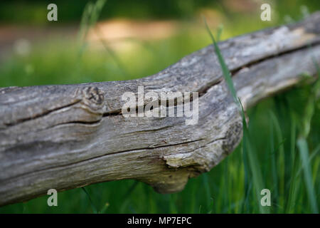 Alte morsche Holzwand Stockfoto