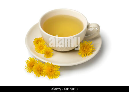 Tasse frischen gesunden Löwenzahntee mit Blumen auf weißem Hintergrund eingerichtet Stockfoto