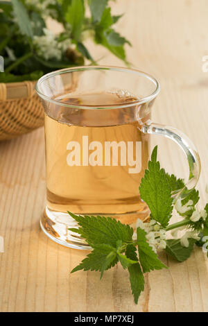 Glas frischen gesunden weissen tot Brennnessel Tee mit Blumen dekoriert Stockfoto