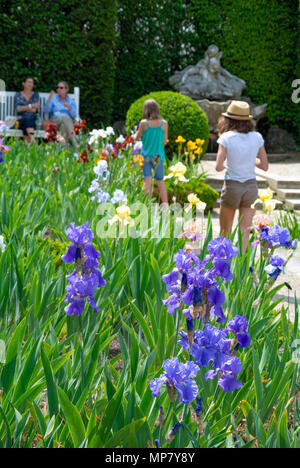 Kaukasische Touristen mit Iris Blume Garten, Park Bagatelle, Paris, Frankreich Stockfoto