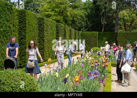 Kaukasische Touristen in Iris Blume Garten, Park Bagatelle, Paris, Frankreich Stockfoto