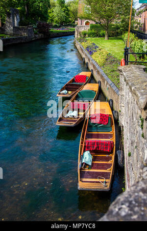 Stocherkähne am Fluss Stour in Canterbury Stockfoto