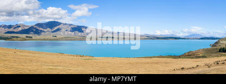 lake tekapo neuseeland Südinsel Westküste des Sees tekapo Neuseeland Stockfoto