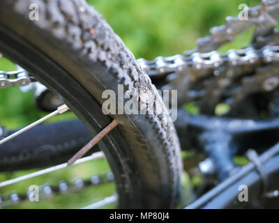 Einbauen der Kamera auf dem Rad, die Punktion der Bike, die Bohrung in dem Rad Stockfoto