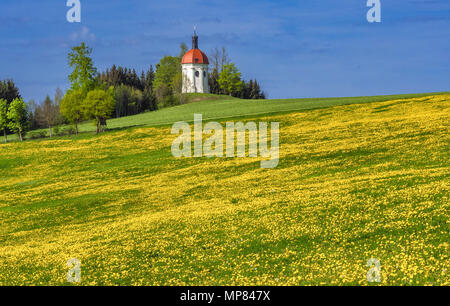 Buschelkapelle in der Nähe von Ottobeuren im Frühjahr, Schwaben, Deutschland Stockfoto