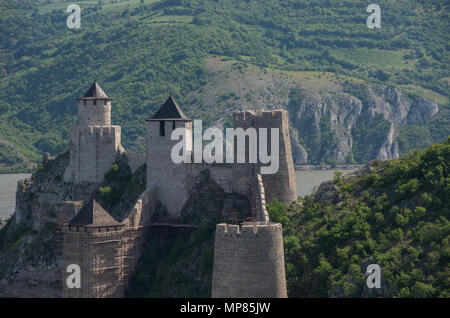 Golubac Festung/Burg, im 14. Jahrhundert gebaut, am Ufer der Donau in Serbien Stockfoto