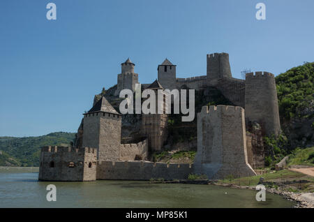 Golubac Festung/Burg, im 14. Jahrhundert gebaut, am Ufer der Donau in Serbien Stockfoto