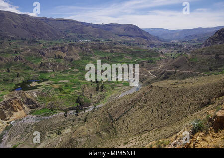 Colca Canyon Panorama, Peru, Südamerika. Inkas, Terrassenfelder zu bauen. Stockfoto