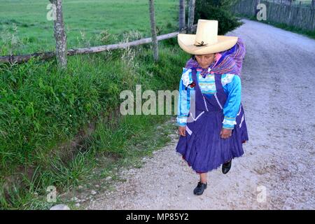 GRANJA PORCON-evangelischen Kooperativen - Departement Cajamarca PERU Stockfoto
