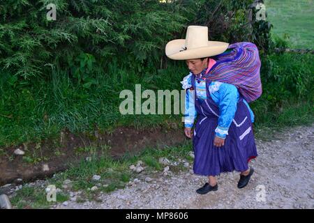 GRANJA PORCON-evangelischen Kooperativen - Departement Cajamarca PERU Stockfoto