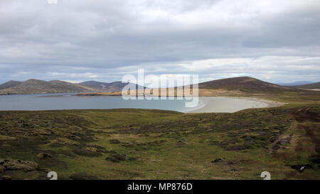 Küste, Strand von Saunders Island, Falkland Inseln Stockfoto