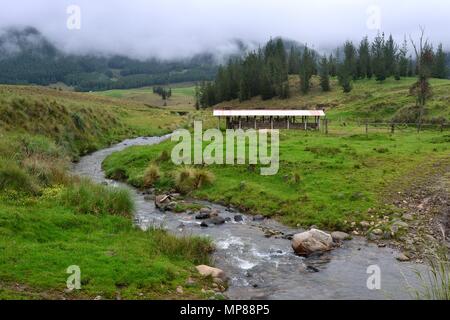 GRANJA PORCON-evangelischen Kooperativen - Departement Cajamarca PERU Stockfoto