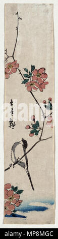 Kaido ni Shokin (Kleiner Vogel auf einem Zweig von Kaidozakura) ca. 1804 - 1844. 755 Kaido ni 2 shokin Stockfoto