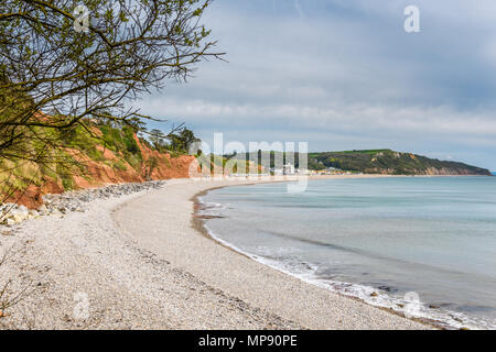 Küste des Kiesstrand an der Jurassic Coast in der Nähe des Dorfes Bier, Devon, England, mit der Stadt Seaton und die Klippen von Haven und Binden. Stockfoto