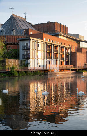 Royal Shakespeare Theatre, das sich bei Sonnenaufgang im Fluss avon spiegelt. Stratford Upon Avon, Warwickshire, England Stockfoto