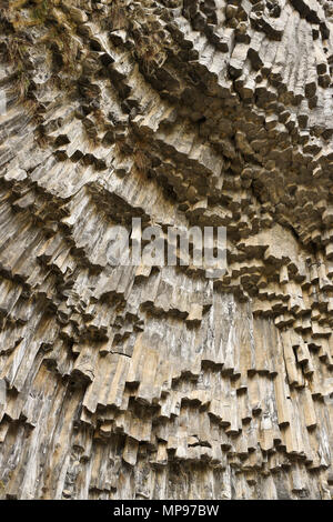 Geologische Formation der achteckige Basaltsäulen im Garni Schlucht die Symphonie der Steine, Garni, Armenien, Stockfoto