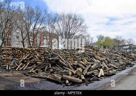 Holzschnitt auf dem Betriebshof des Protokolls und zum Verkauf bereit. Stockfoto