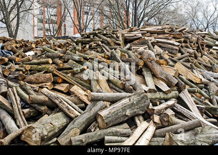 Holzschnitt auf dem Betriebshof des Protokolls und zum Verkauf bereit. Stockfoto