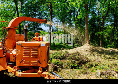 Landschaftsgestalter mit Holz Chipper in Aktion erfasst einen Wood chipper oder Mulcher schießen Chips über einen Zaun. Stockfoto