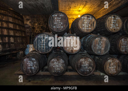 Port Wein Fässer im Keller, Vila Nova de Gaia, Porto, Portugal Stockfoto