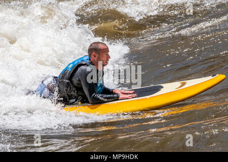 Nach standup paddleboarder; Wildwasser; Arkansas River; Salida, Colorado, USA Stockfoto