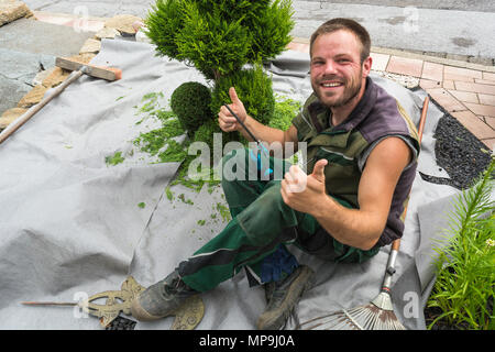 Kleines leben Bäume oder thuja Schneiden in Form auf einer Wiese. Stockfoto