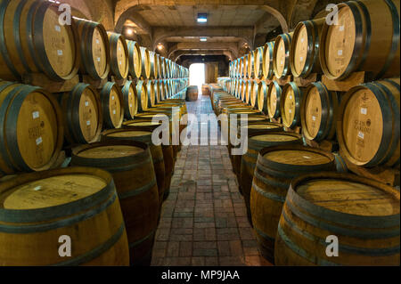 Alterung von Wein in Eiche Fässer im Keller eines Weinguts mit Weinberg, zwischen Stellenbosch und Kapstadt, Südafrika. Stockfoto
