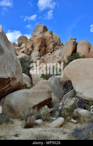 Monzogranite rock Pile, Hidden Valley, Joshua Tree National Park, CA 180312 68140 Stockfoto