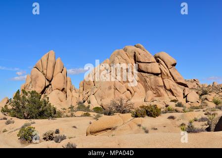 Monzogranite rock, Skull Rock Bereich, Jumbo Rocks Campground, Joshua Tree National Park, CA 180315 68340 Stockfoto