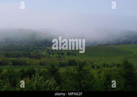 Nordsee Nebel (5,2Km) Rollen in über bewaldete Flächen Tal von Aberdeen. Schottland, Großbritannien. Mai, 2018. Stockfoto