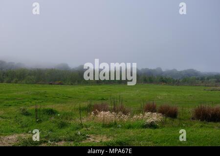 Nordsee 5,2Km Nebel Rollen in über St Fittick's Community Park. Aberdeen, Schottland, Großbritannien. Mai, 2018. Stockfoto