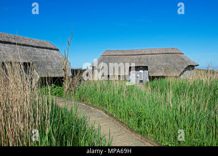 Cley Sümpfe, ein RSPB Nature Reserve, Norfolk, England Großbritannien Stockfoto