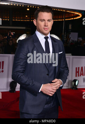 Channing Tatum058 bei Hail Caesar Premiere auf dem Westwood Village Theater in Los Angeles. 1. Februar 2016. Channing Tatum058 - - - - - - - - - - - - - Red Carpet Event, Vertikal, USA, Filmindustrie, Prominente, Fotografie, Bestof, Kunst, Kultur und Unterhaltung, Topix Prominente Fashion/Vertikal, Besten, Event in Hollywood Leben - Kalifornien, Roter Teppich und backstage, USA, Film, Stars, Film Stars, TV Stars, Musik, Promis, Fotografie, Bestof, Kunst, Kultur und Unterhaltung, Topix, drei Viertel, vertikal, eine Person aus dem Jahr 2016, Anfrage tsuni @ Gamma Stockfoto