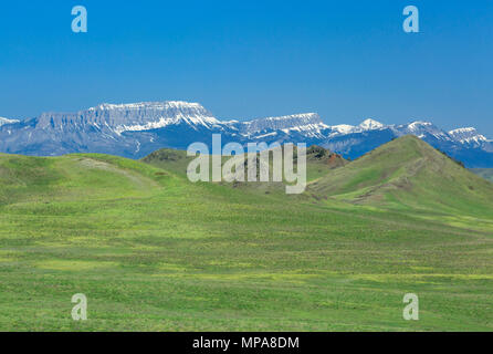 Prairie Hügel unterhalb Schloss Riff entlang der Rocky Mountain Front in der Nähe von Augusta, Montana Stockfoto