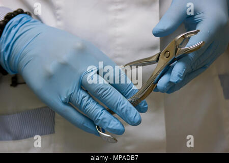 Zahnärzte Hände in Blau medizinische Handschuhe mit zahnmedizinischer Werkzeuge Stockfoto