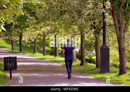 Junge männliche Mann allein unter Bäumen auf einem Pfad Kelvingrove Park, Professoren' Square, Glasgow, UK Stockfoto