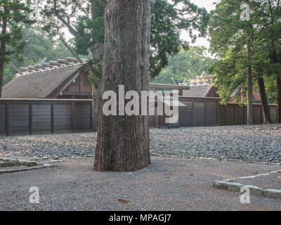 Schrein Gebäude Dächer, Goshoden, dem wichtigsten Heiligtum der Geku, Ise Jingu, Mie, Japan Stockfoto